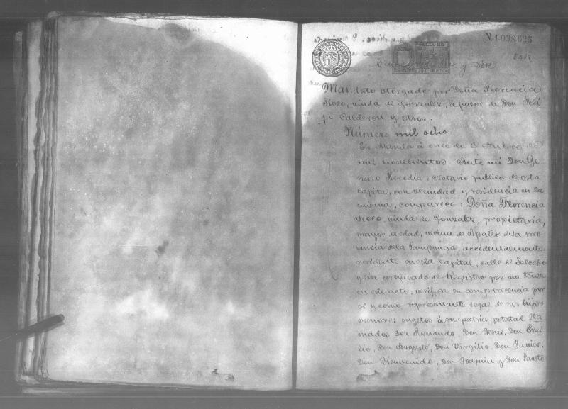 Annex 0C: Virgilio - 1900 Notarial